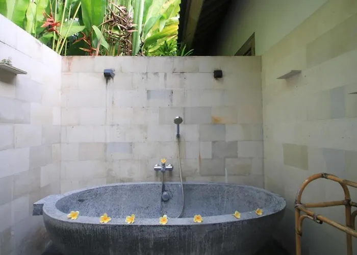 Vss-ubud Ricefield -ac-3bd-3bth-pool-bb-internet